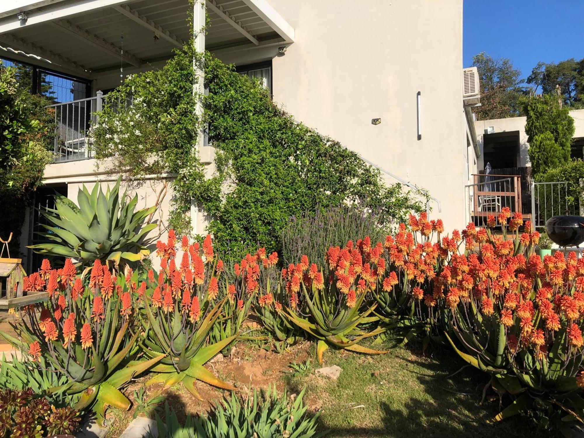 Roland'S Valley Art Accommodation Stellenbosch Exterior photo